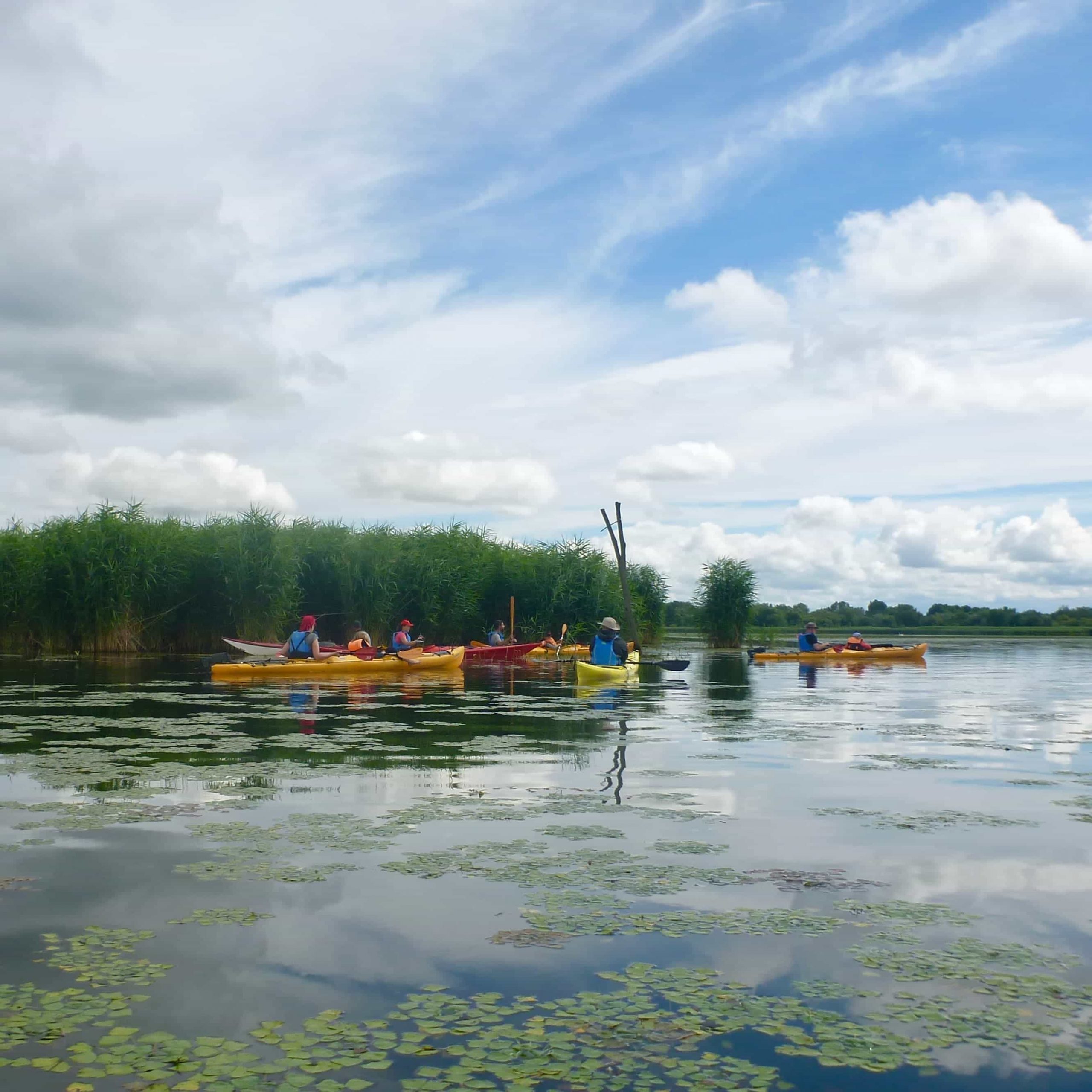 Tisza-tó expedíció 5